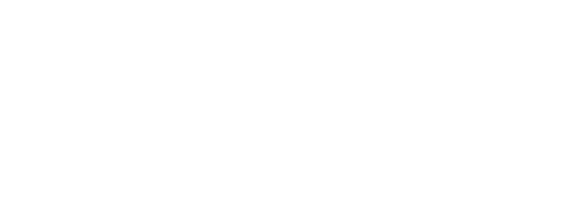 Fortune Capybara Demo